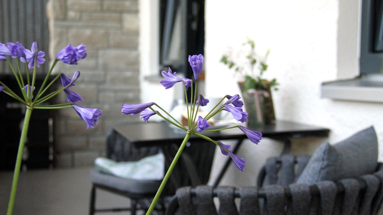 Bergzauber_Bolsterlang_Chalet_Alpencharme_0242_www Bergzauber_Bolsterlang_Chalet_Alpencharme_0242_www